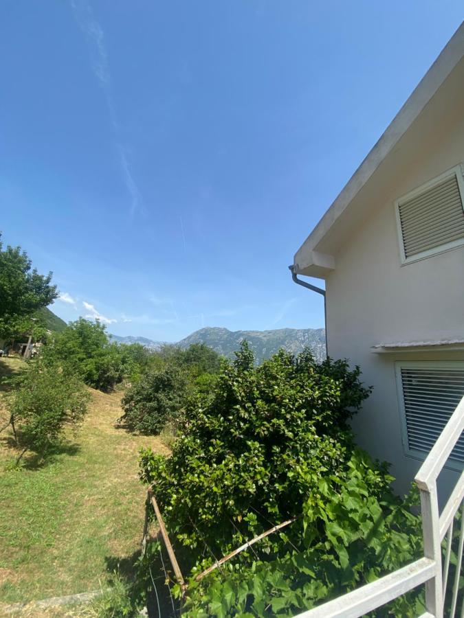 Apartments Djuricic Κότορ Εξωτερικό φωτογραφία