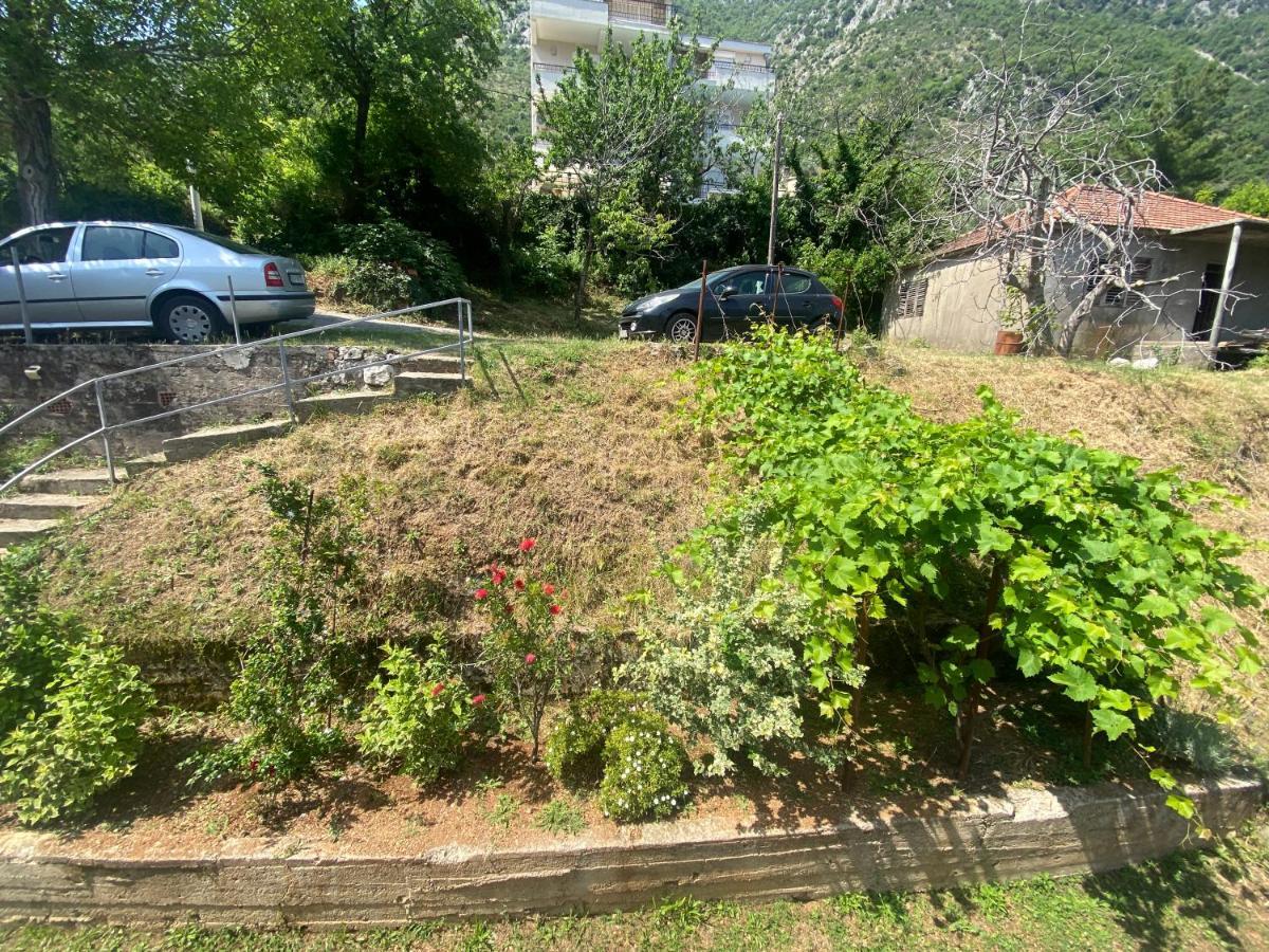 Apartments Djuricic Κότορ Εξωτερικό φωτογραφία